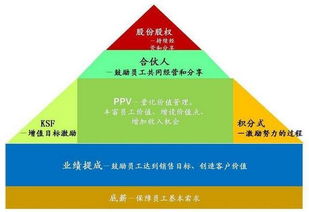京东管理密码 解码刘强东的三大核心领导力法则
