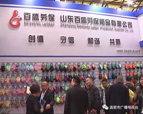 杨书记在沪提出新要求 推进高密市安全防护用品产业上档升级